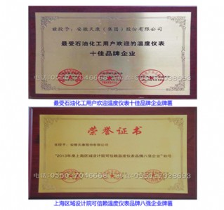 最受石油化工欢迎的十佳品牌企业/上海区域设计院可信赖仪表品牌8强企业