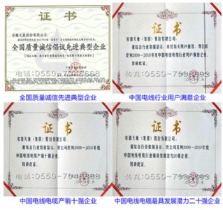 全国质量诚信先进典型企业/中国电线电缆行业用户满意企业/中国电线电缆产销十强企业/中国电线电缆最具发展潜力二十强企业